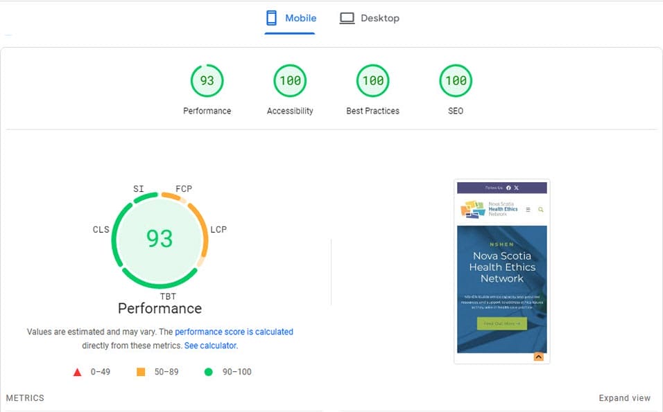NSHEN Page Speed Report after custom theme build